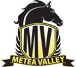 Mv_lax