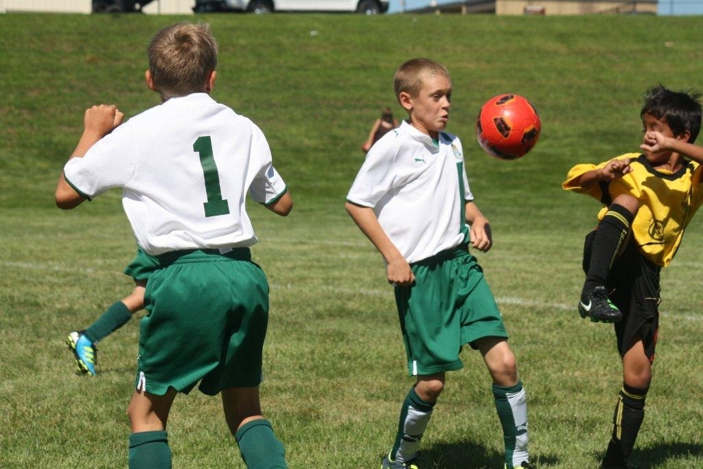 Soccer or Kungfu???