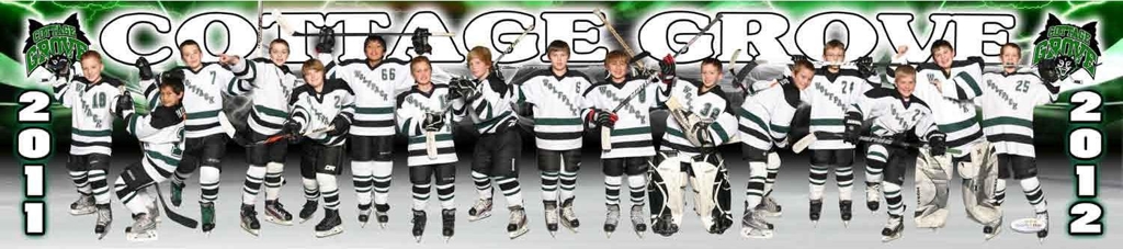 2011 - 2012 Squirt B