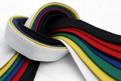 Many Colors of Martial Arts Belts