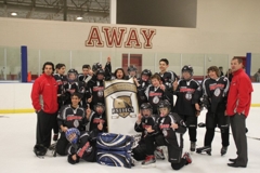 SIHC Pee Wee Champions